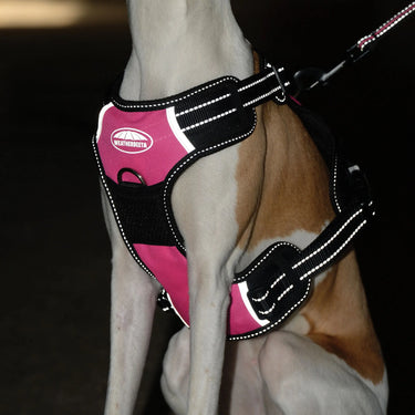 Weatherbeeta Anti Pull/Travel Dog Harness| Online For Equine