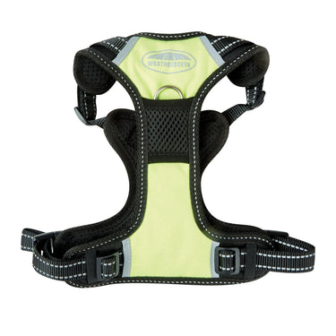 Weatherbeeta Anti Pull/Travel Dog Harness| Online For Equine