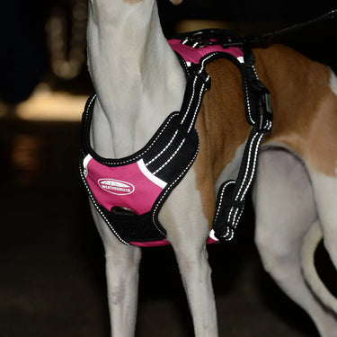 Weatherbeeta Anti Pull/Travel Dog Harness| Online For Equine