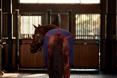 Weatherbeeta Anti-Static Fleece Cooler Standard Neck| Online For Equine