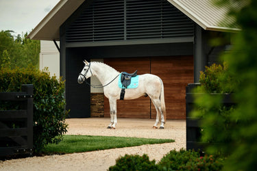 Weatherbeeta Aqua Satin Luxe Air-Tec Dressage Saddle Pad| Online For Equine