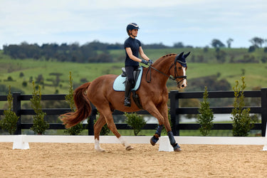Weatherbeeta Aqua Suede Elite Air-Tec Dressage Saddle Pad| Online For Equine