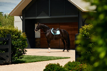 Weatherbeeta Aqua Suede Elite Air-Tec Jump Saddle Pad| Online For Equine