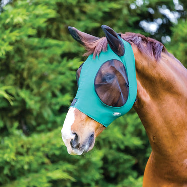 Weatherbeeta Black/Black Deluxe Stretch Bug Eye Saver With Ears| Online For Equine