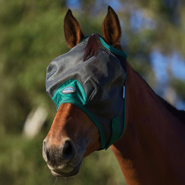 Weatherbeeta Black/Forest Green Comfitec Durable Mesh Fly Mask| Online For Equine