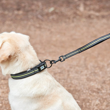 Weatherbeeta Black / Pink Reflective Dog Lead| Online For Equine