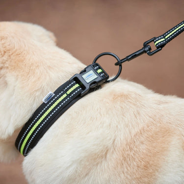 Weatherbeeta Black / Pink Reflective Dog Lead| Online For Equine