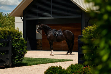 Weatherbeeta Black Satin Luxe Air-Tec Euro Jump Saddle Pad| Online For Equine