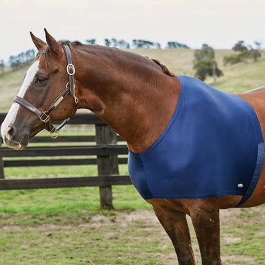 Weatherbeeta Black Stretch Shoulder Guard| Online For Equine