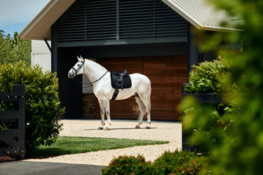 Weatherbeeta Black Suede Elite Air-Tec Dressage Saddle Pad| Online For Equine