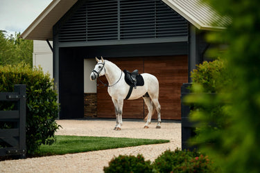 Weatherbeeta Black Suede Elite Air-Tec GP Saddle Pad| Online For Equine