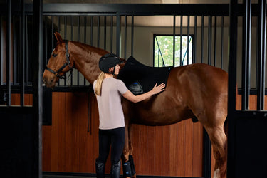 Weatherbeeta Black Suede Elite Air-Tec GP Saddle Pad| Online For Equine