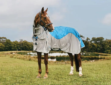 Weatherbeeta Blue/Grey Comfitec Dual Shield Detach-A-Neck| Online For Equine