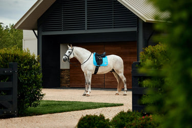 Weatherbeeta Bright Blue Satin Luxe Air-Tec Dressage Saddle Pad| Online For Equine