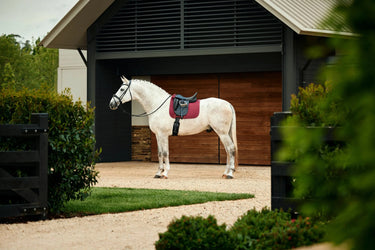 Weatherbeeta Burgundy Suede Elite Air-Tec Dressage Saddle Pad| Online For Equine