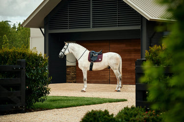 Weatherbeeta Chocolate Satin Luxe Air-Tec Dressage Saddle Pad| Online For Equine