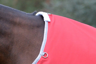 Buy Weatherbeeta ComFiTec Classic No Fill Standard Neck Turnout Rug| Online for Equine