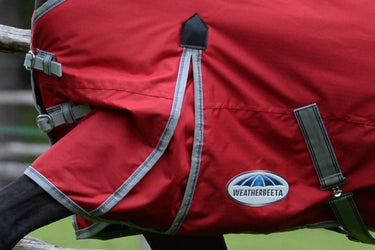 Buy Weatherbeeta ComFiTec Classic No Fill Standard Neck Turnout Rug| Online for Equine