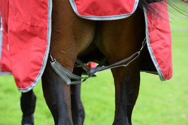 Buy Weatherbeeta ComFiTec Classic No Fill Standard Neck Turnout Rug| Online for Equine