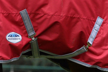 Buy Weatherbeeta ComFiTec Classic No Fill Standard Neck Turnout Rug| Online for Equine