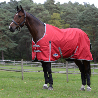 Weatherbeeta ComFiTec Classic No Fill Standard Neck Turnout Rug - 4'3"| Online For Equine