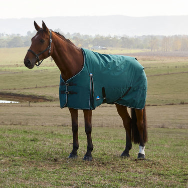 Weatherbeeta Comfitec Classic Turnout 220G| Online For Equine