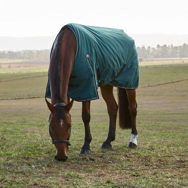 Weatherbeeta Comfitec Classic Turnout 220G| Online For Equine