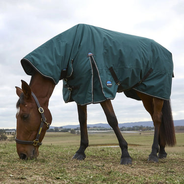 Weatherbeeta Comfitec Classic Turnout Combo 50G| Online For Equine