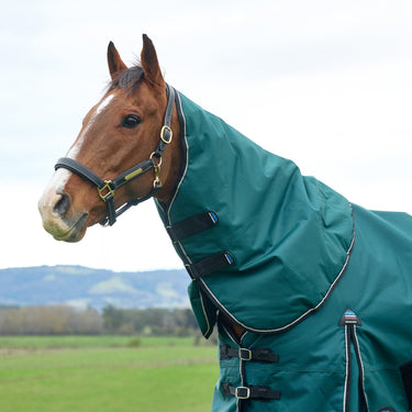 Weatherbeeta Comfitec Classic Turnout Neck Cover 220G| Online For Equine