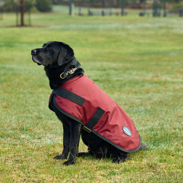 Weatherbeeta Comfitec Classic Waterproof Dog Coat Burgundy| Online For Equine