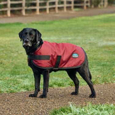 Weatherbeeta Comfitec Classic Waterproof Dog Coat Burgundy| Online For Equine