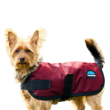Weatherbeeta Comfitec Classic Waterproof Dog Coat Burgundy| Online For Equine
