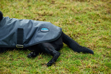 Weatherbeeta Comfitec Classic Waterproof Dog Coat Charcoal| Online For Equine