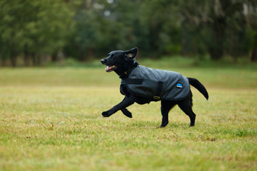 Weatherbeeta Comfitec Classic Waterproof Dog Coat Charcoal| Online For Equine