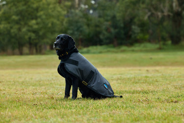 Weatherbeeta Comfitec Classic Waterproof Dog Coat Charcoal| Online For Equine