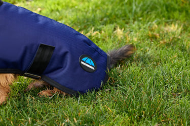 Weatherbeeta Comfitec Classic Waterproof Dog Coat Navy| Online For Equine