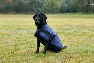 Weatherbeeta Comfitec Classic Waterproof Dog Coat Navy| Online For Equine