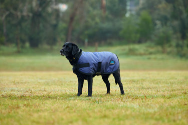 Weatherbeeta Comfitec Classic Waterproof Dog Coat Navy| Online For Equine