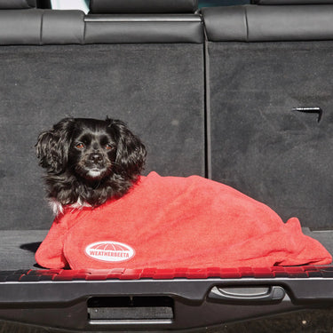 Weatherbeeta Comfitec Dry-Dog Bag| Online For Equine