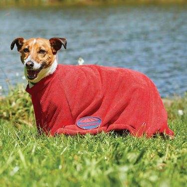 Weatherbeeta Comfitec Dry-Dog Bag| Online For Equine