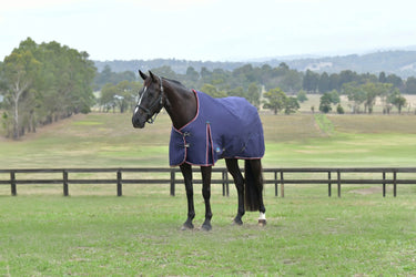 Weatherbeeta Comfitec Essential Turnout 0G Navy/ Burgundy| Online For Equine