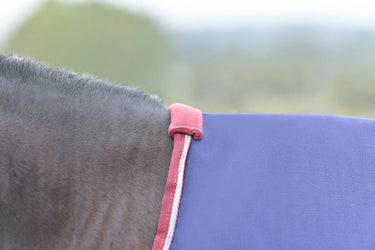 Weatherbeeta Comfitec Essential Turnout 0G Navy/ Burgundy| Online For Equine