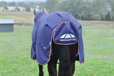 Weatherbeeta Comfitec Essential Turnout 0G Navy/ Burgundy| Online For Equine