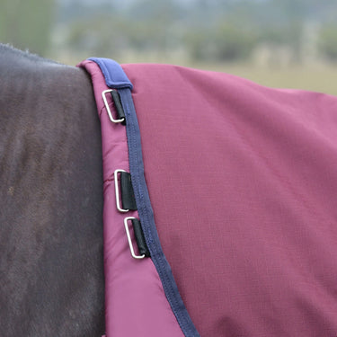 Weatherbeeta Comfitec Essential Turnout 100G| Online For Equine