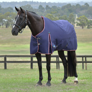 Weatherbeeta Comfitec Essential Turnout 100G| Online For Equine