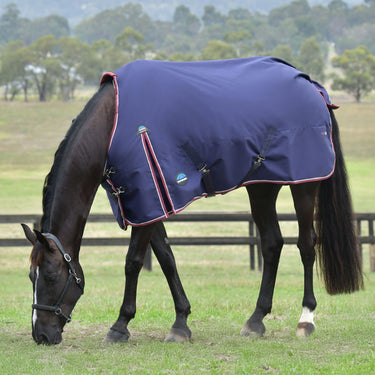 Weatherbeeta Comfitec Essential Turnout 100G| Online For Equine