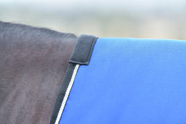 Weatherbeeta Comfitec Essential Turnout 220G Cobalt/Black| Online For Equine