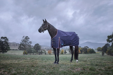 Weatherbeeta Comfitec Essential Turnout 220G Navy/ Burgundy| Online For Equine