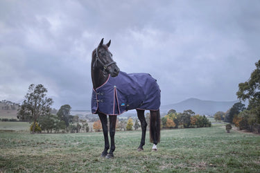 Weatherbeeta Comfitec Essential Turnout 220G Navy/ Burgundy| Online For Equine