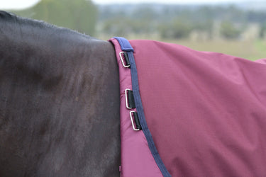 Weatherbeeta Comfitec Essential Turnout 50G Burgundy/ Navy| Online For Equine